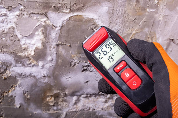 Reliable Rathdrum, ID Mold Removal Solutions